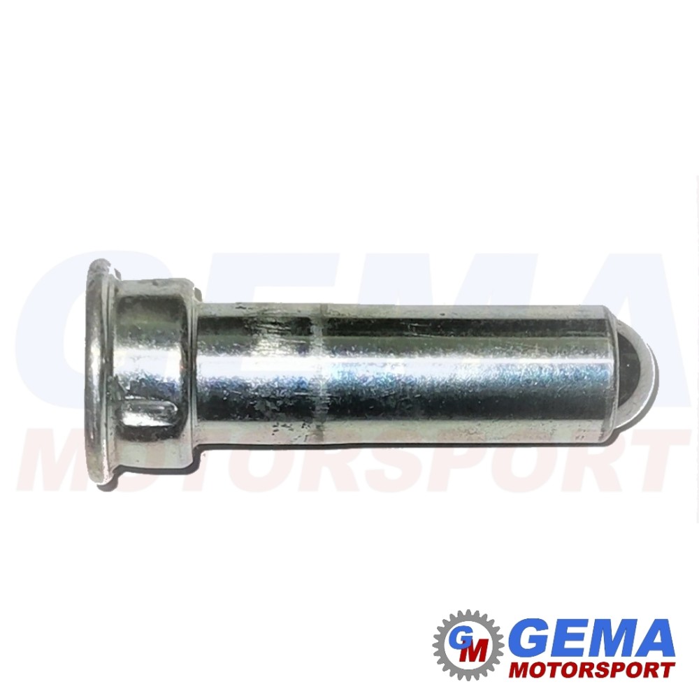 Ratchet pin F18 F20